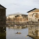 Image for article titled Why Can’t We Stop Cholera in Haiti?